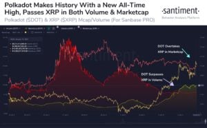 Market Research Report: BTC Undecided, DeFi Sends Altcoin Surging, Stocks Closed Lower Despite Biden&rsquo;s Stimulus&nbsp; - DOT pass XRP 300x186